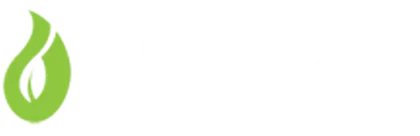 Cebulice