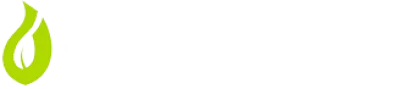 Cebulice